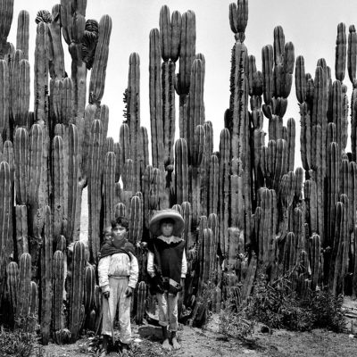 Título: Niños campesinos junto a cactus, Colección: Culhuacán, Lugar de asunto: México, Fecha de asunto: ca. 1912, Fecha de toma: ca. 1912, Proceso: Negativo de película de nitrocelulosa.